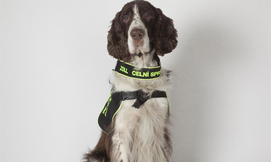 2016-8-25-1140hlavní foto.jpg